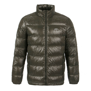 Customized Logo OEM High Quality Winter Padded Jacket Regular Fit Shiny Puffer Down Jacket for Men